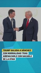 Trump y Sánchez se saludan en la cumbre por la paz en Gaza