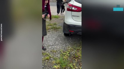 Daughter Returns Home to Surprise Family