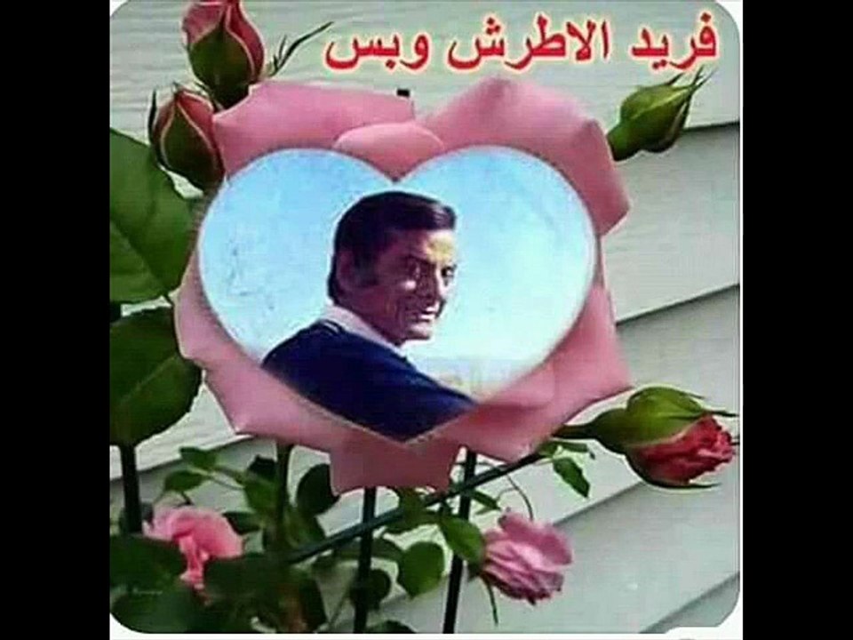 لقاء اخير مع موسيقار الازمان فريد  الاطرش لازاعه الشرق الاوسط       بواسطه سوزان مصطفي 1971