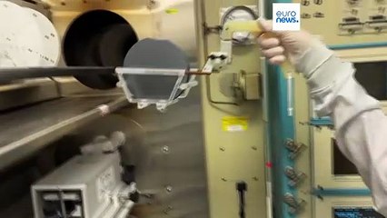 Países Baixos invocam lei de emergência para assumir controlo de fabricante chinês de chips