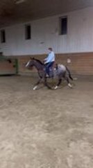Horse Flings Rider Off His Back in Dramatic Toss