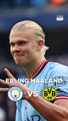 HAALAND