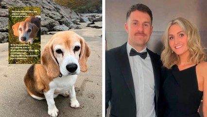 Aaron Ramsey y su esposa Collen piden ayuda para localizar a su perrita Halo en San Miguel de Allende