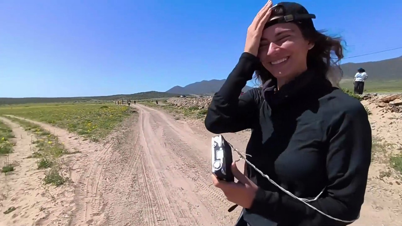 Desierto Florido (Copiapó - Vallenar), Atacama, Chile