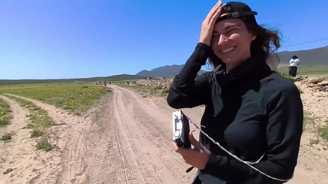 Desierto Florido (Copiapó - Vallenar), Atacama, Chile