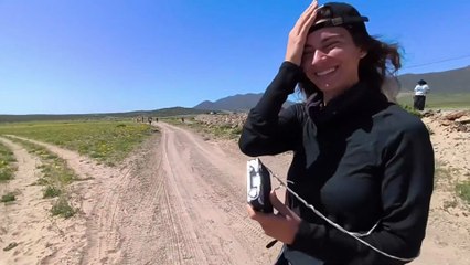 Desierto Florido (Copiapó - Vallenar), Atacama, Chile