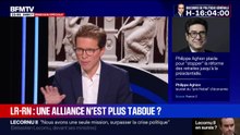 Pour Geoffroy Didier, vice-président des Républicains, le RN "est un parti socialiste sur le plan économique"