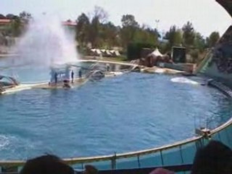 Orque2