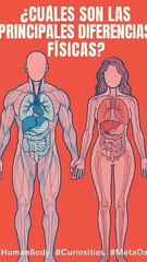 No somos iguales por dentro diferencias ocultas entre hombres y mujeres - MetaDato (360p, h264)