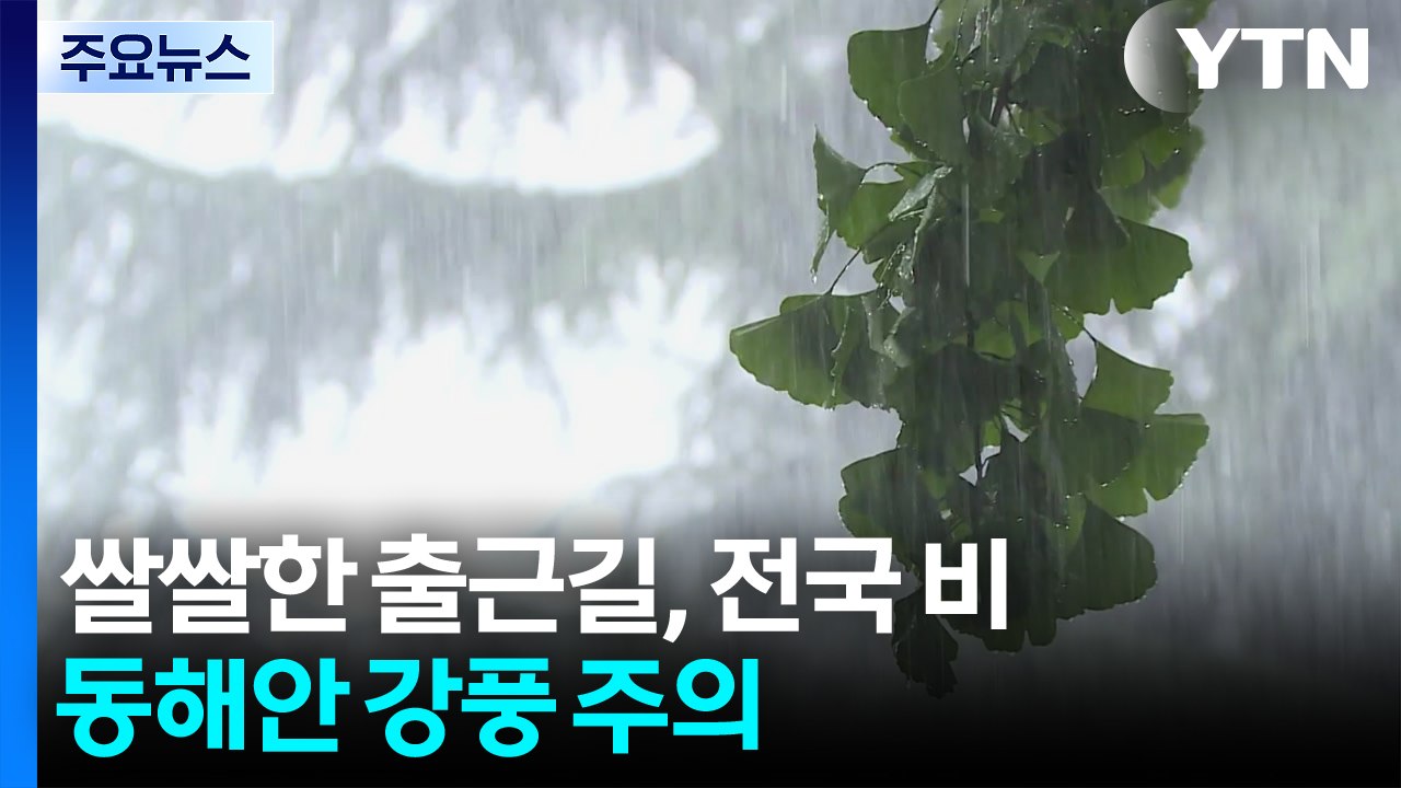 [날씨] 쌀쌀한 출근길, 전국 비...동해안 강풍 주의 / YTN