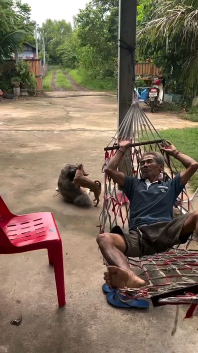 Funny video very funny moments