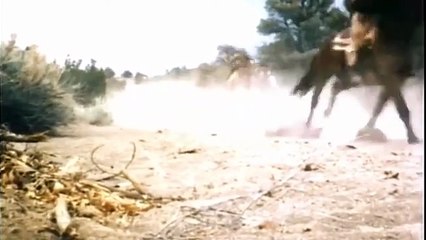 Fuga peligrosa película completa en latino