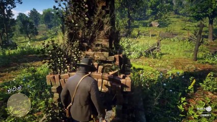 45. Developers actually thought of this for low honor players in RDR2