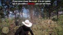 46. When the game is 7 years old and you discover stuff like these - RDR2