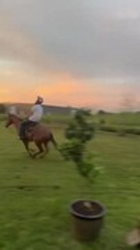 Man Falls After Horse Suddenly Bolts