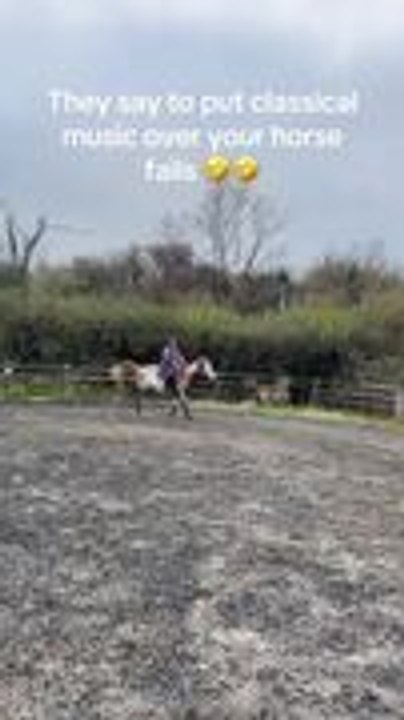 Woman Falls as Horse Stops Abruptly at Hurdle