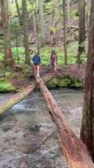 Boy Loses Balance While Crossing River on Wooden Log