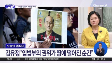 대법원장 불러 조롱한 국회…“조요토미 희대요시” 질의 수준 논란