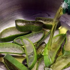 Aloe vera hacks you should try soon!