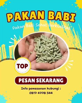Jual Pakan Babi Selemadeg Timur Tabanan, WA +6281 747 785 44, WAJIB COBA…!!