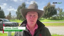 Local buyers back Ballarat store cattle sale to keep prices steady