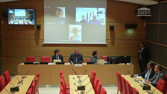 Accès à une justice adaptée aux besoins ultramarins : Élus et magistrats de Nouvelle-Calédonie - Lundi 13 octobre 2025