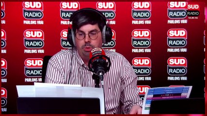 Décryptez le langage de nos animaux de compagnie