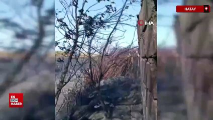 Hatay’da depremzede ailenin samanlığı yandı: araç ve tarım aletleri kül oldu