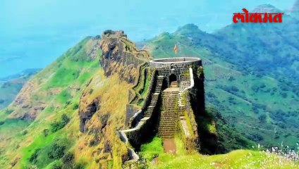 राजगड किल्ल्यावर मधमाशांचा हल्ला; तरूणीनं बचावासाठी  दरीतच उडी मारली,