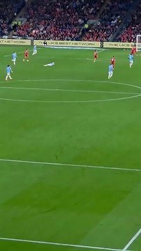 Galler - Belçika maçını fare bastı!