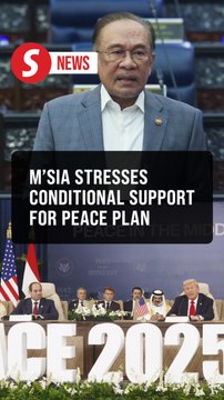 Anwar says Malaysia not invited to Gaza summit over conditional support