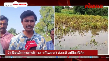 सरकारने मदतीपासून जालन्यातील शेतकरी अद्यापही वंचित, दिवाळीच्या तोंडावर शेतकरी चिंतेत