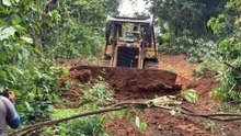 Old Road Bulldozer D6R XL Service, Investment for Durable Plantation Roads