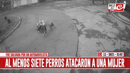 Impresionante video muestra cómo una mujer es atacada por una jauría