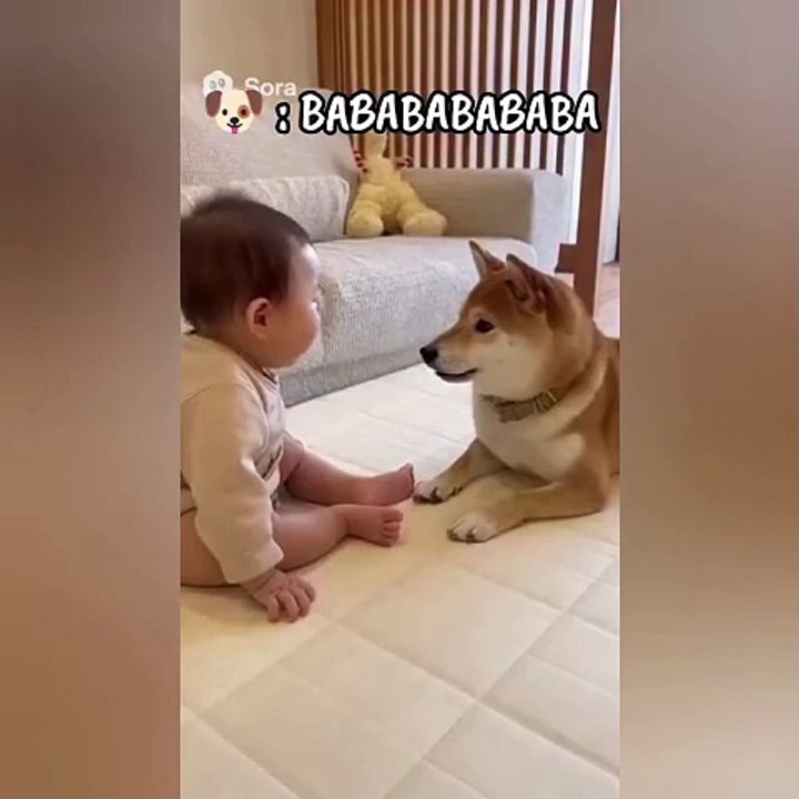 babababa dog talking to baby
