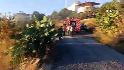 Yangında ev küle döndü, tek teselli kurtarılan muhabbet kuşları oldu