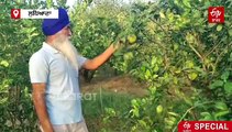 ਰੁਪਿੰਦਰ ਕੌਰ ਨੇ ਬਣਾਈ ਵੱਖਰੀ ਪਛਾਣ, ਨੌਕਰੀ ਛੱਡ ਸਾਰਾ ਪਰਿਵਾਰ ਕਰ ਰਿਹੈ ਜੈਵਿਕ ਖੇਤੀ, ਜਾਣੋ ਕਾਰਨ