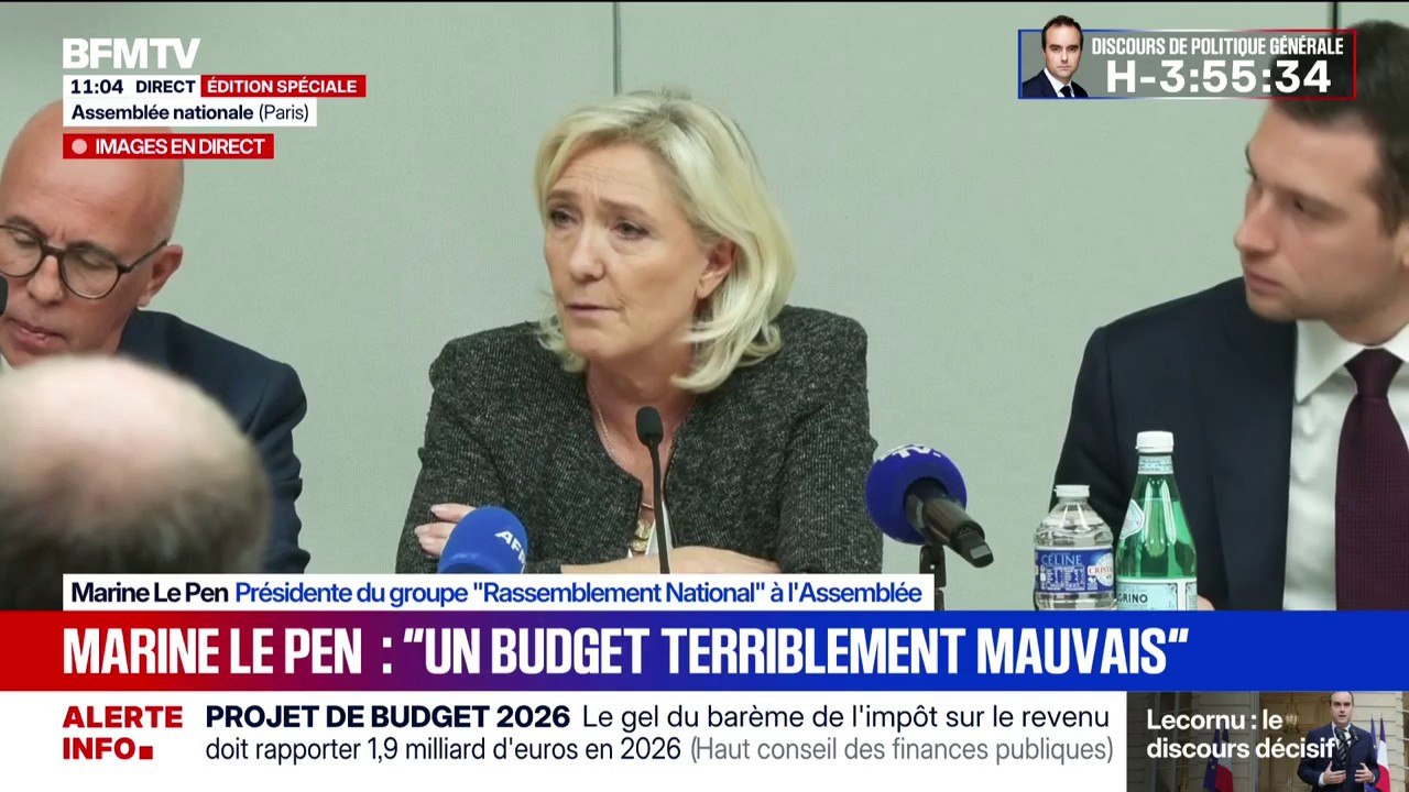 Marine Le Pen: "L'ensemble des mouvements politiques, hors LFI, se coalisent pour empêcher la tenue de nouvelles élections"