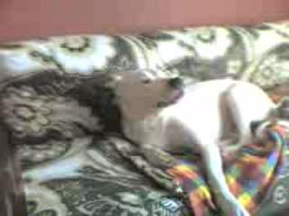 video-0083