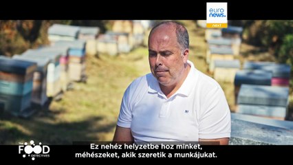 The Food Detectives: Hogyan lehet kiszúrni a hamis mézet