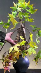 “An Instant Mood Lift for Your Whole Day! ☀️ #Good