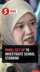 School stabbing: Special committee set up to ensure thorough investigation, says Fadhlina