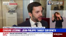 Jean-Philippe Tanguy (RN): 