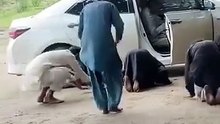 Viral Video: پیر صاحب کی آمد اور مریدین کا پاؤں پکڑنا | کیا یہ جائز ہے