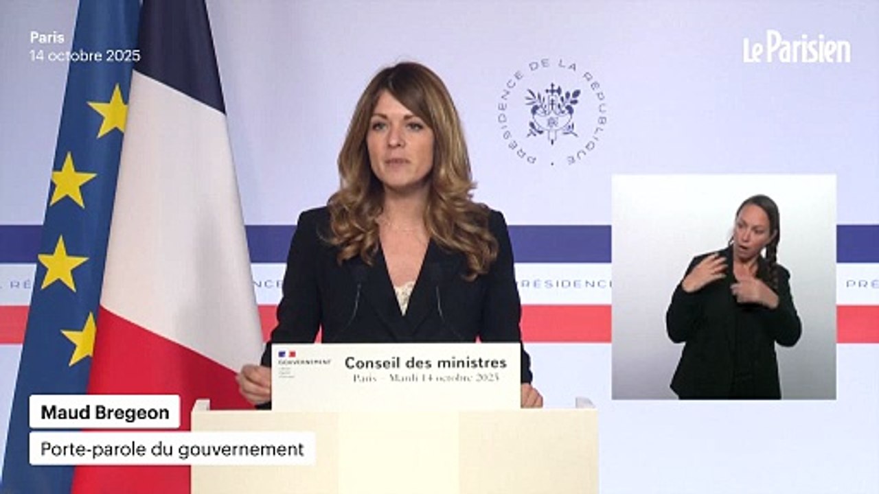 Emmanuel Macron : les motions de censure « sont des motions de dissolution »