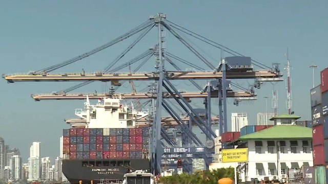 Productores alertan por eliminación del arancel al hilo de algodón: podría desaparecer la industria