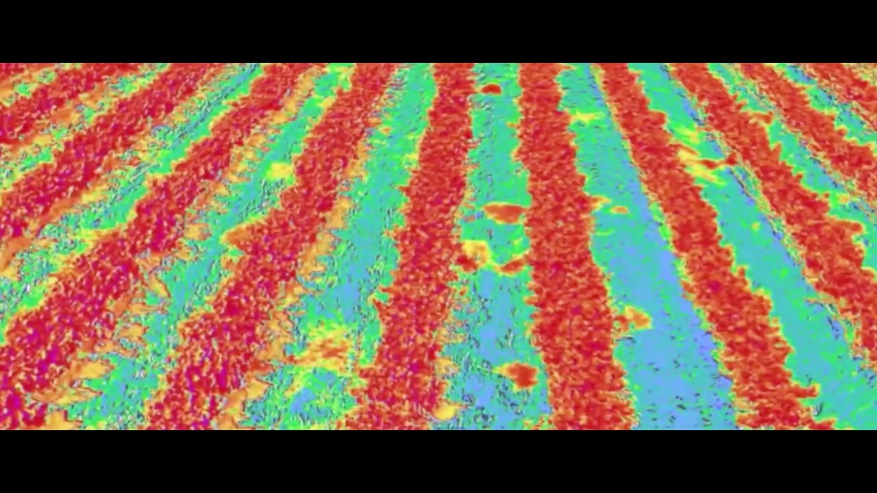 Elements of(f) Balance Film