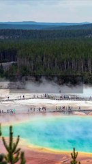 Exploring the Wonders of Yellowstone National Park #shorts