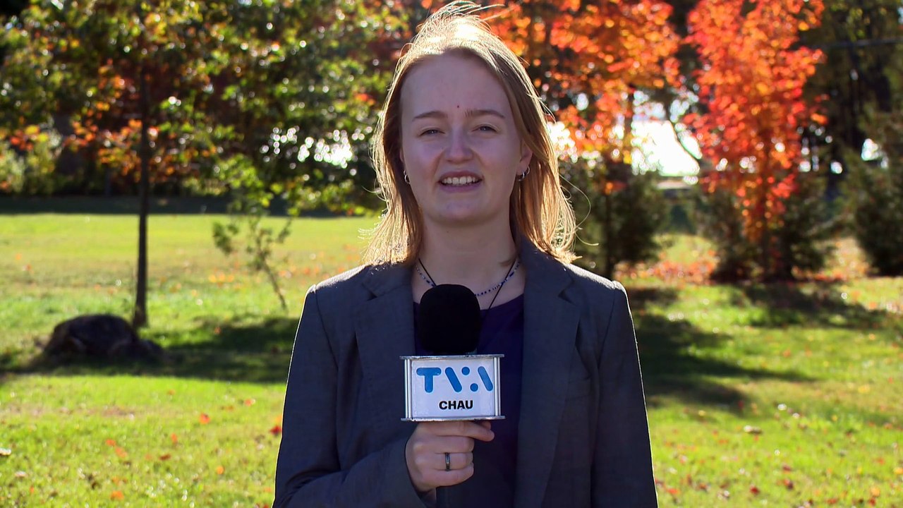 Ateliers pour artistes de Accès Microcrédit