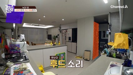 사람이 집에 없으면 '돌변'한다?! 늑대 1호는 요구적 분리불안?